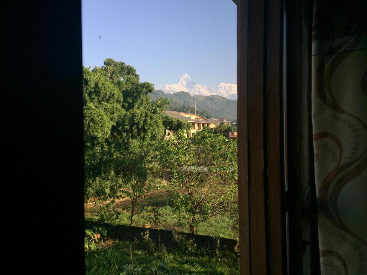 Obey Guest House Pokhara Exteriör bild